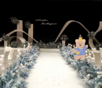 婚礼策划.婚礼场地布置/婚礼策划/活动策划，宝宝宴，订婚求婚